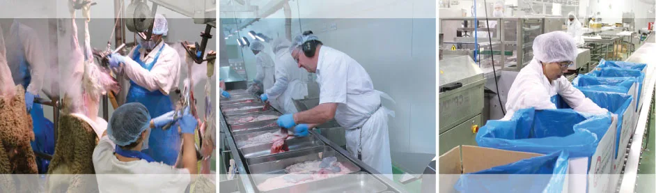 Meat processing staff at Cedar Meats working on cutting, packaging, and safety measures